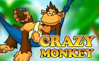 Обзор игрового автомата Crazy Monkey